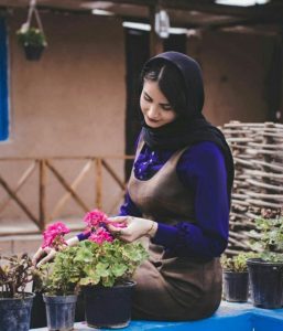 What Is Tashdid Symbol in Persian