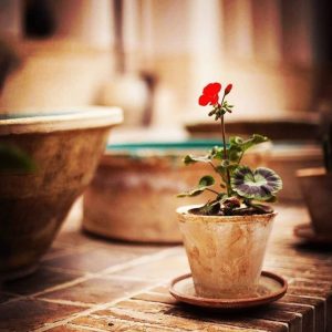Persian proverbs examples