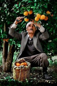Find a strong reason for learning Persian language